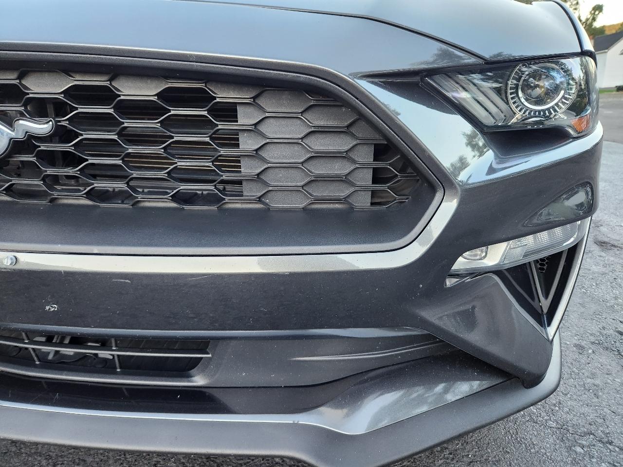 Ford Mustang EcoBoost Convertible 2019