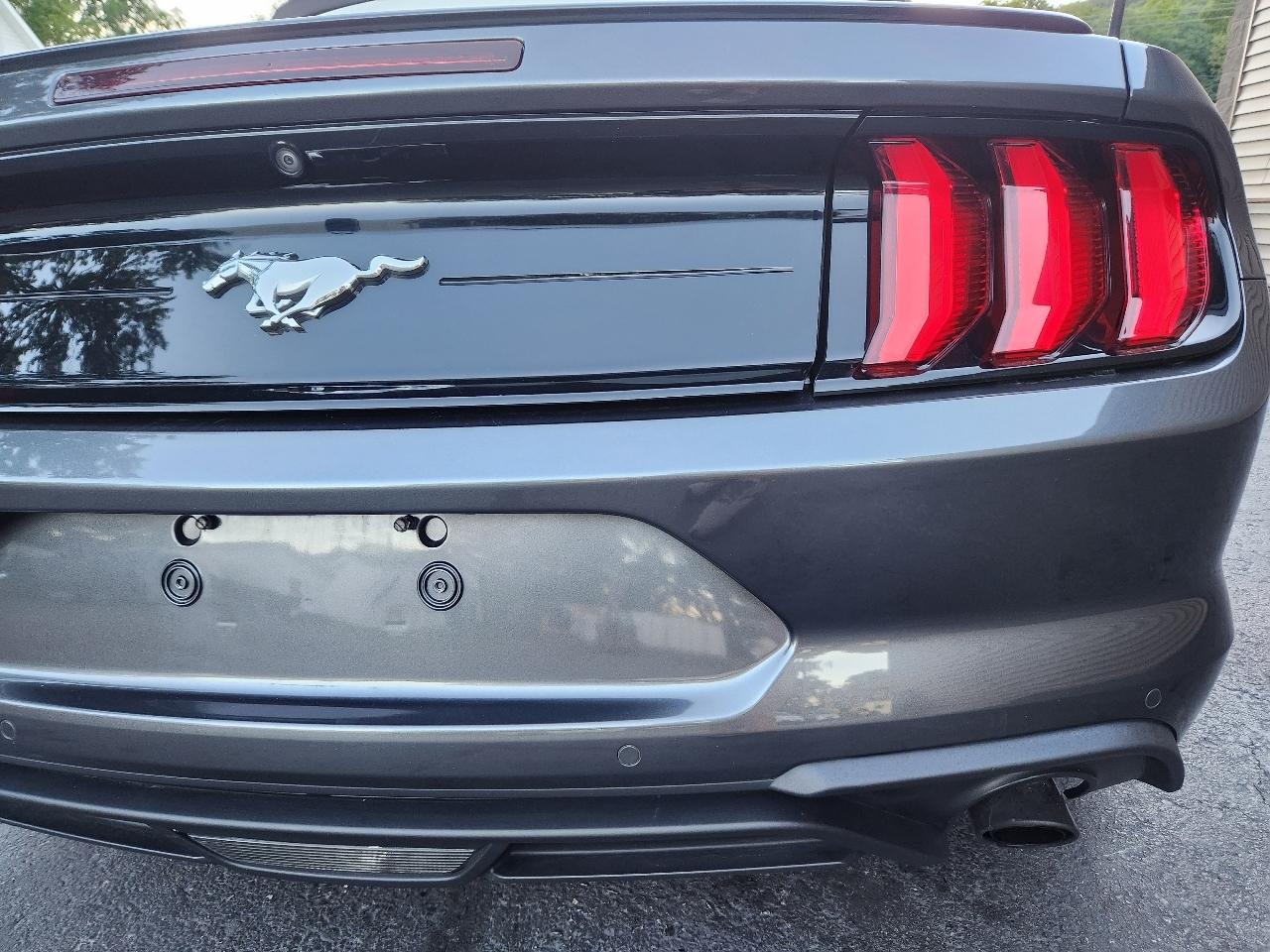 Ford Mustang EcoBoost Convertible 2019