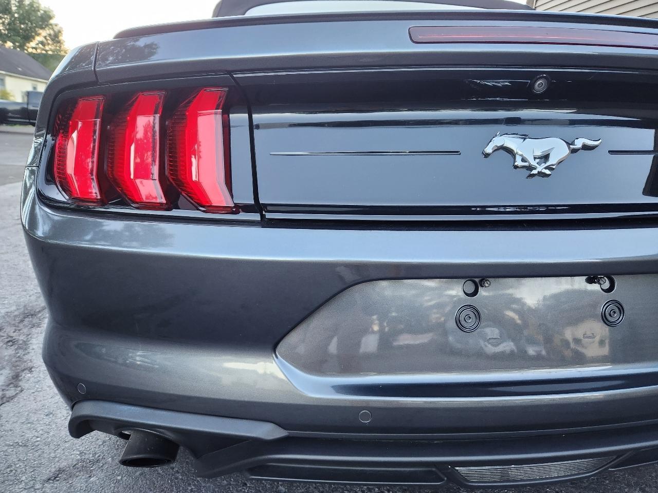 Ford Mustang EcoBoost Convertible 2019