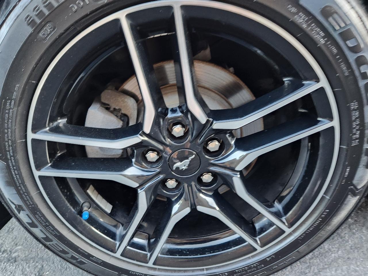 Ford Mustang EcoBoost Convertible 2019