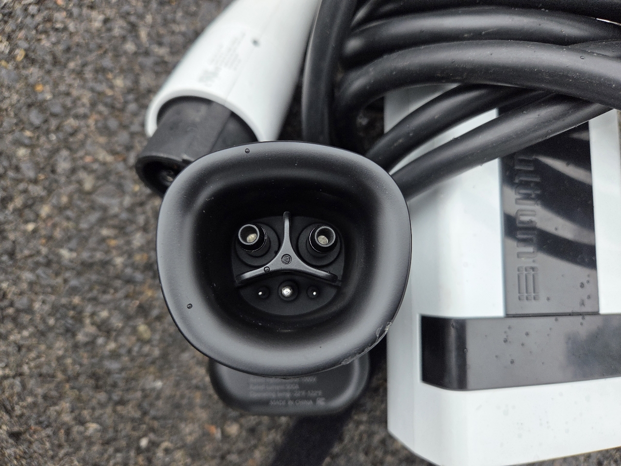 Green Power EV Star  2022