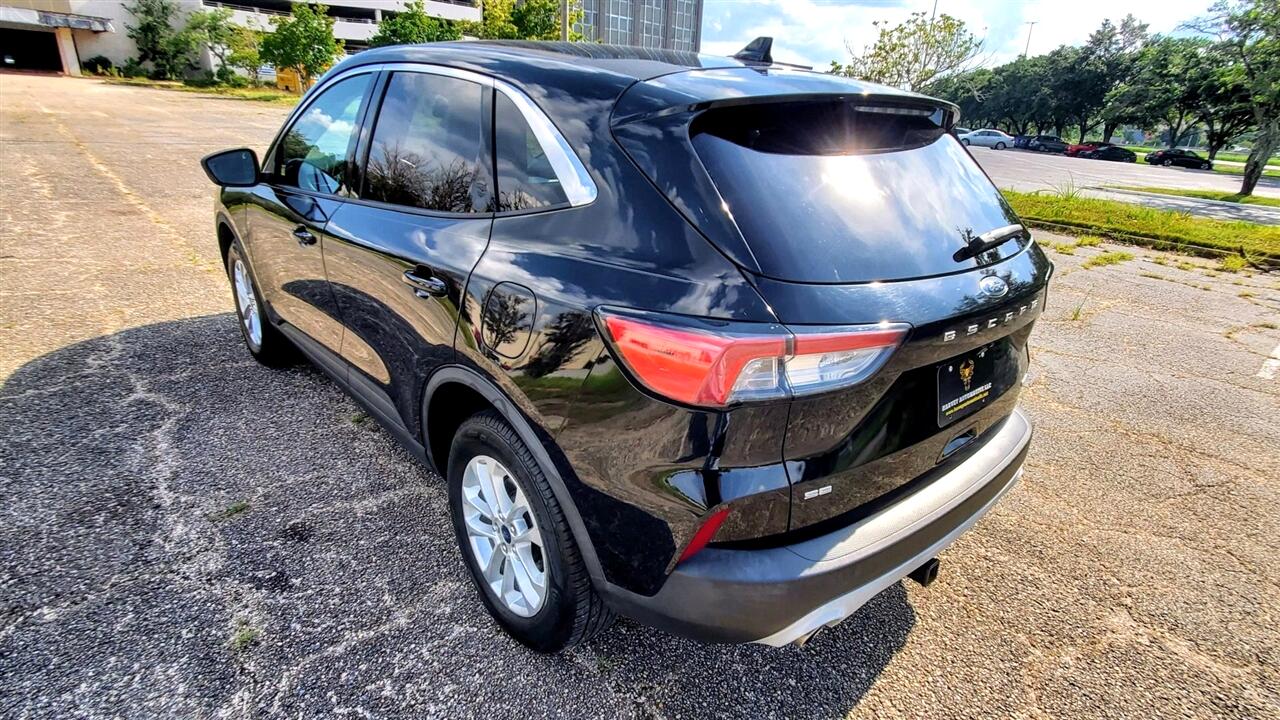 Ford Escape  2020 Ford Escape  2020