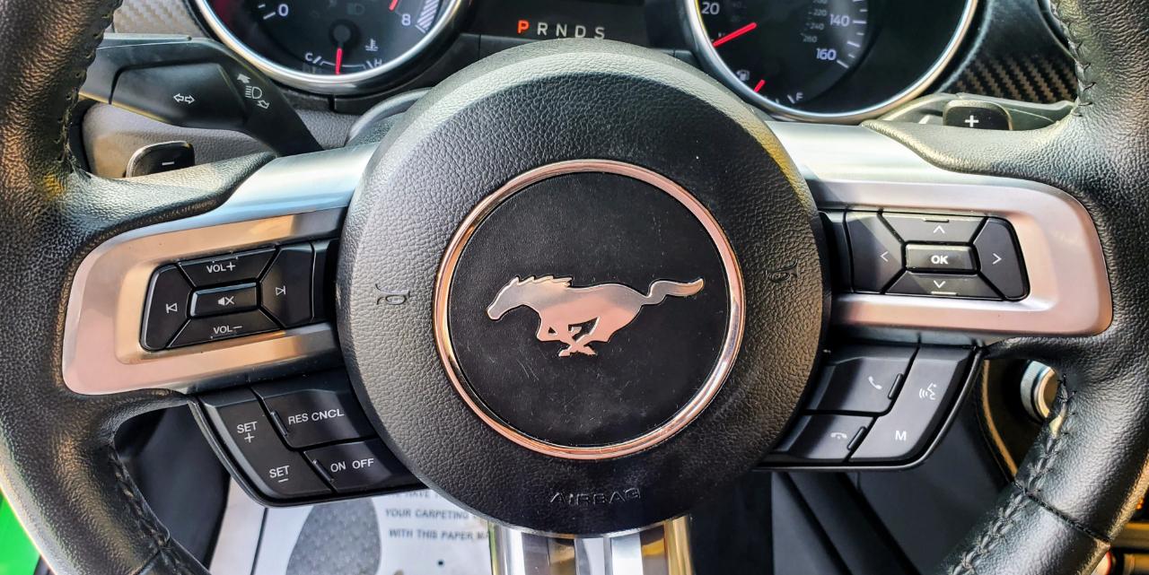 Ford Mustang EcoBoost Fastback 2019
