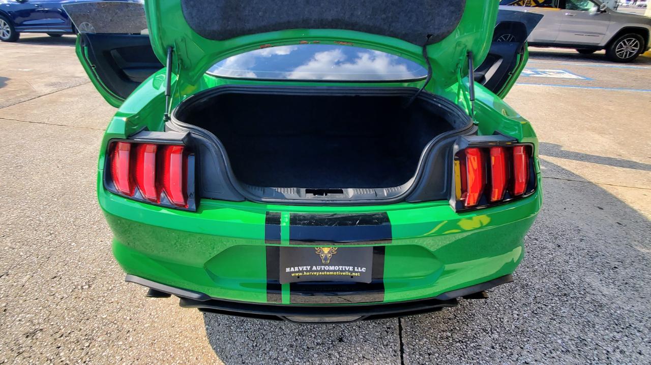 Ford Mustang EcoBoost Fastback 2019