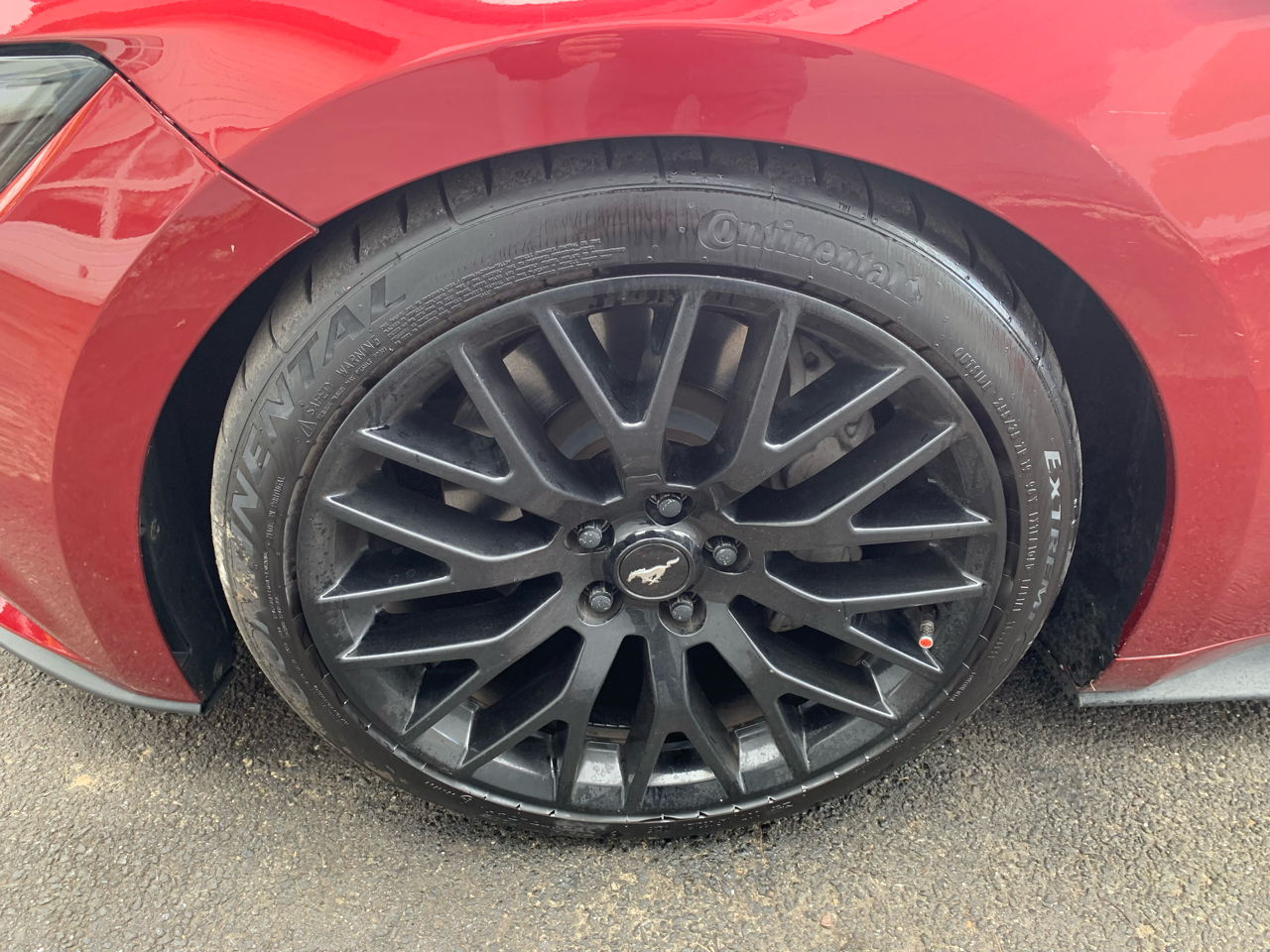 Ford Mustang GT Coupe 2016