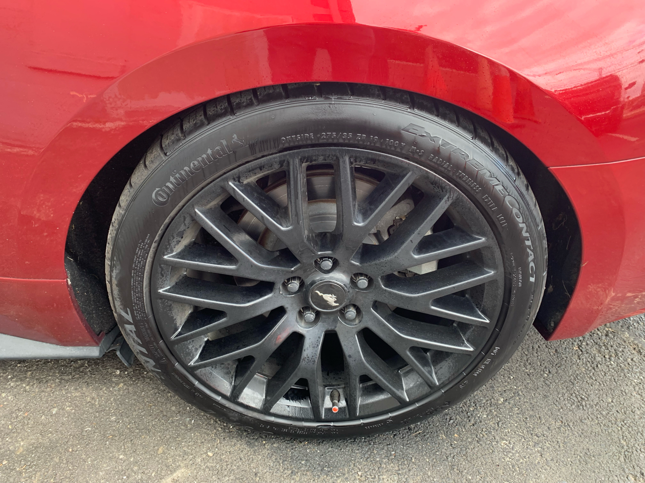 Ford Mustang GT Coupe 2016