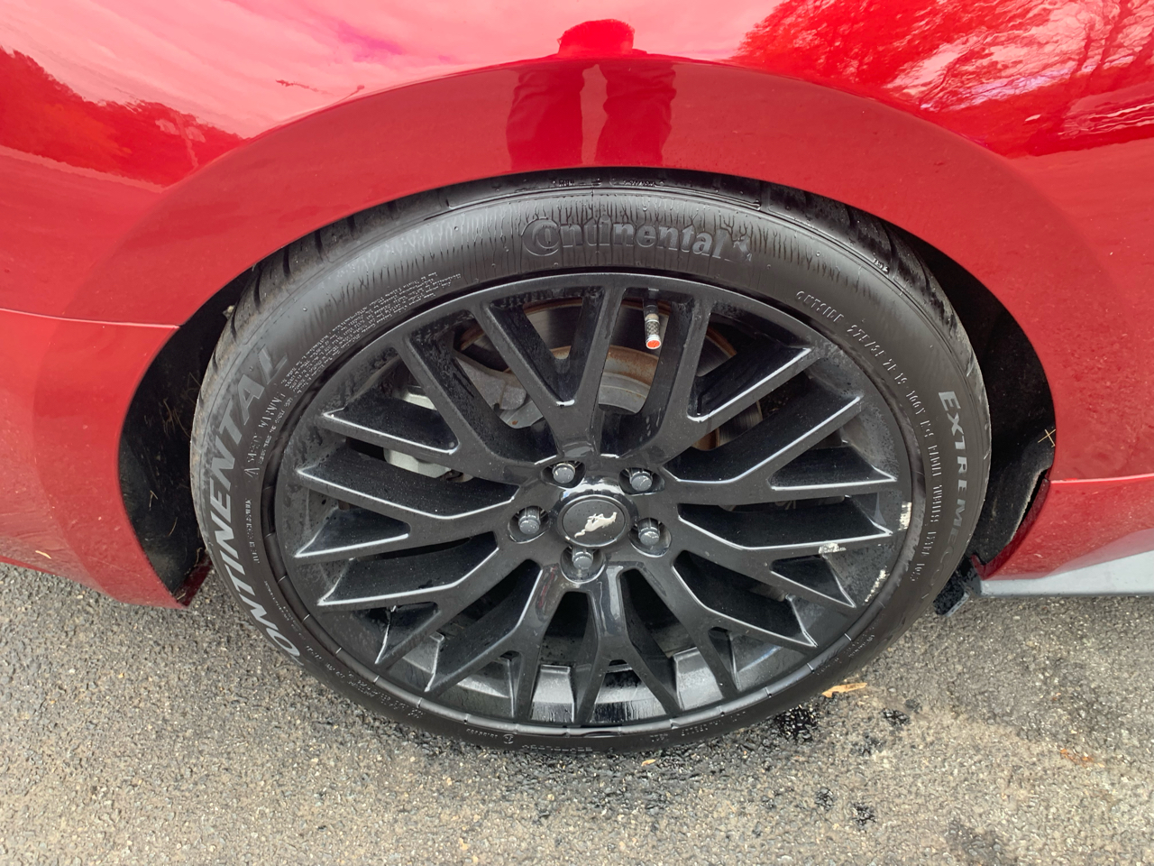 Ford Mustang GT Coupe 2016