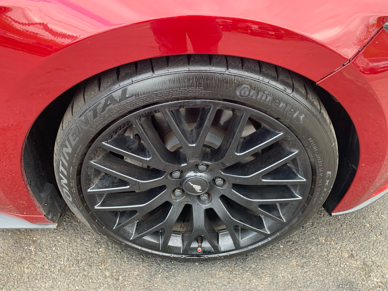 Ford Mustang GT Coupe 2016