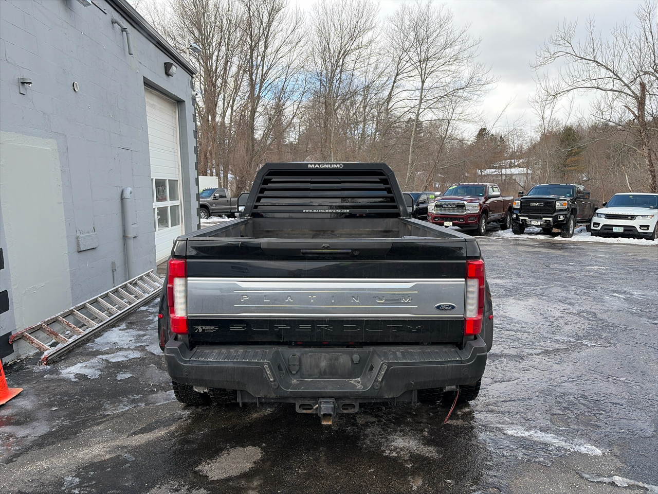 Ford F-450 SD Platinum Crew Cab DRW 4WD 2017