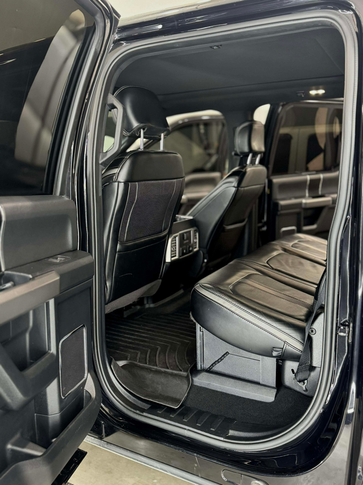 Ford F-250 SD Platinum Crew Cab 4WD 2019