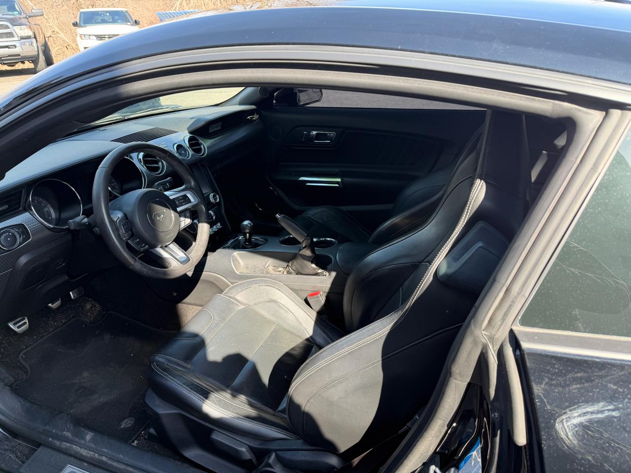 Ford Mustang GT Coupe 2015