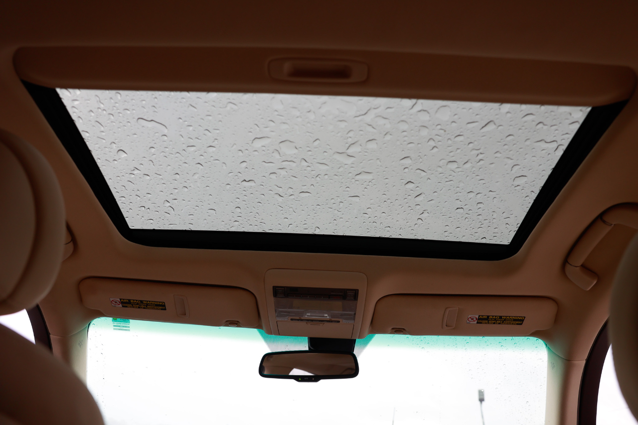 Lexus LS 460  2010 Lexus LS 460  2010