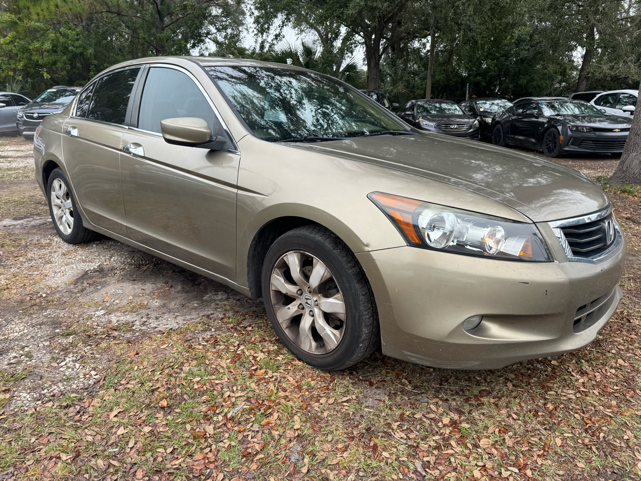 Honda Accord Sdn  2008