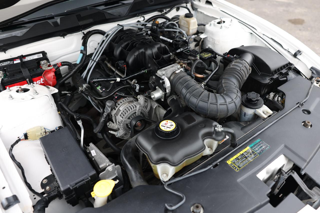 Ford Mustang  2010