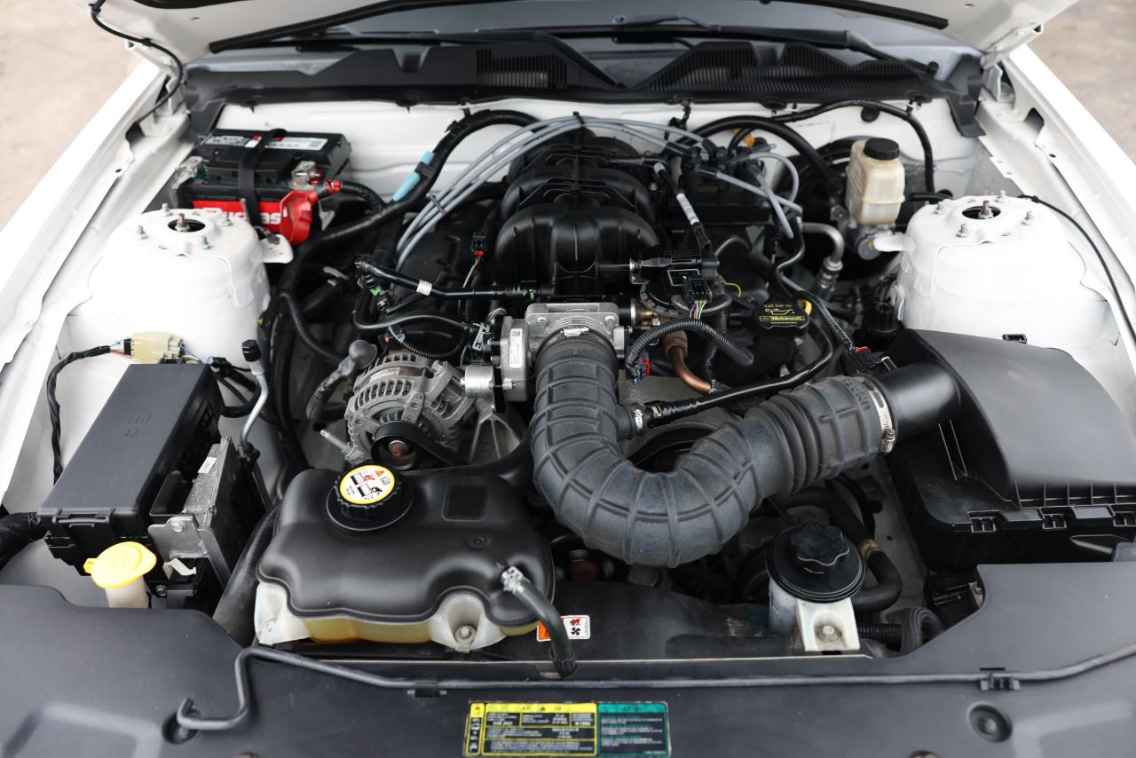 Ford Mustang  2010