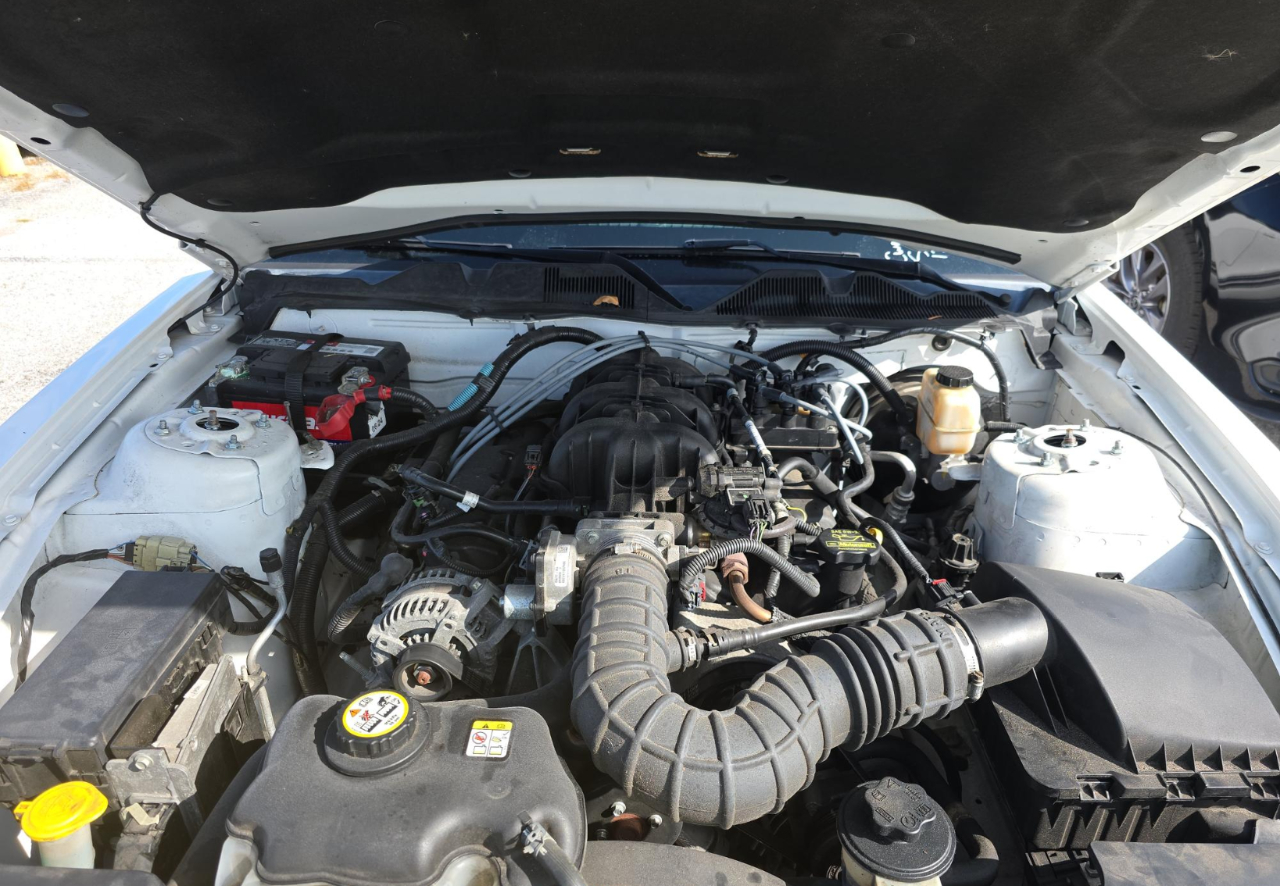 Ford Mustang V6 Convertible 2010