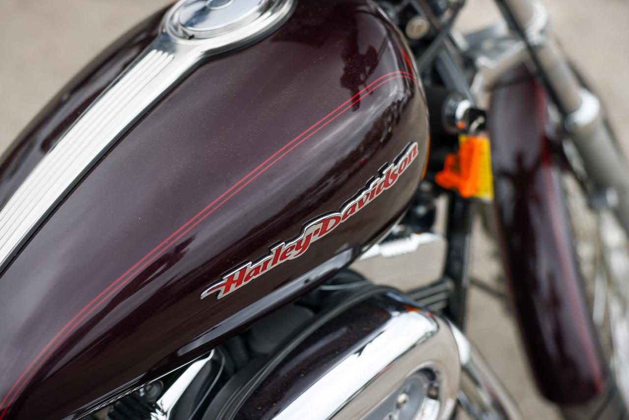 Harley-Davidson XL1200C  2006