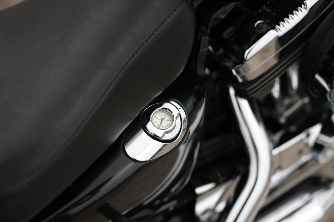 Harley-Davidson XL1200C  2006