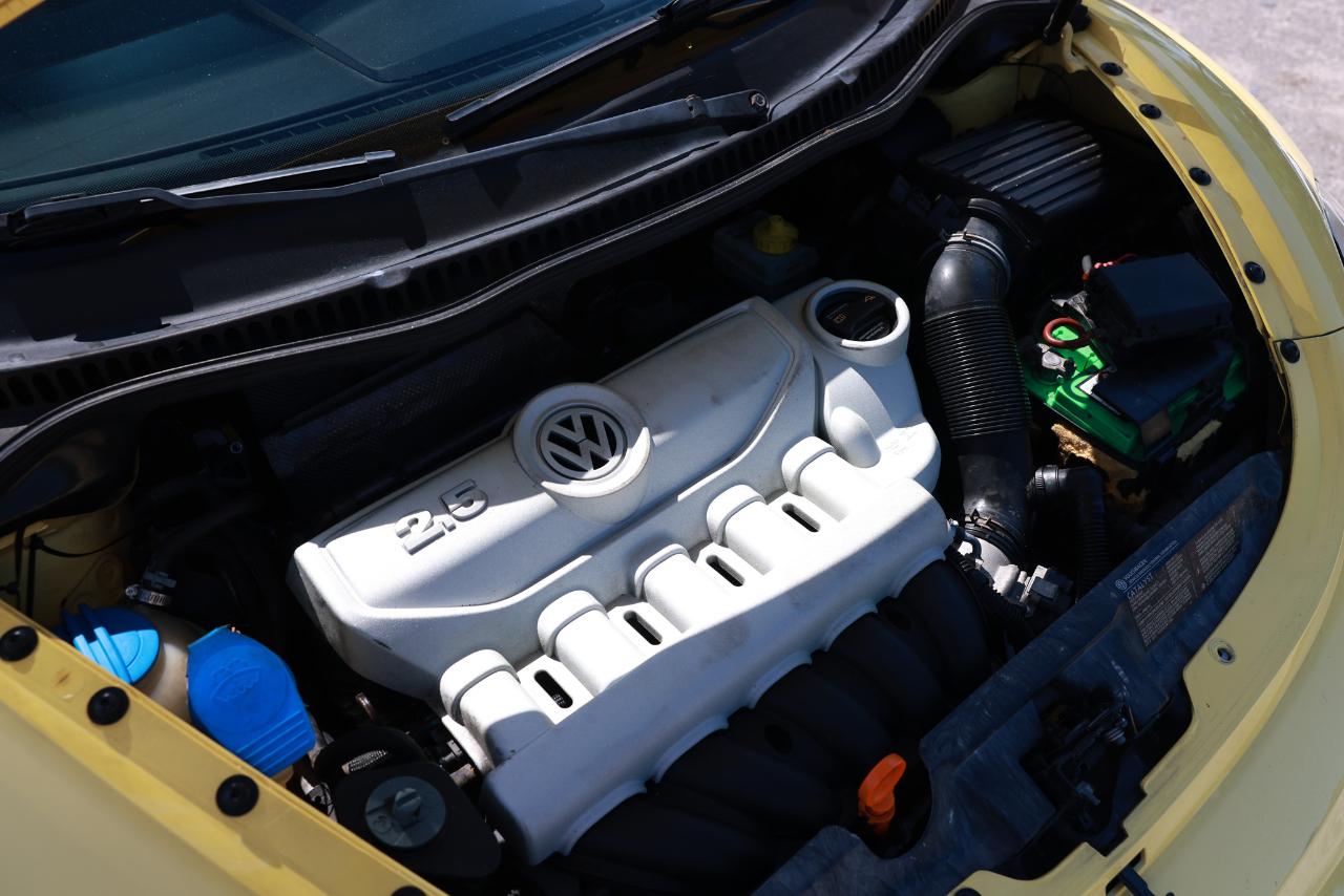Volkswagen New Beetle Coupe  2008