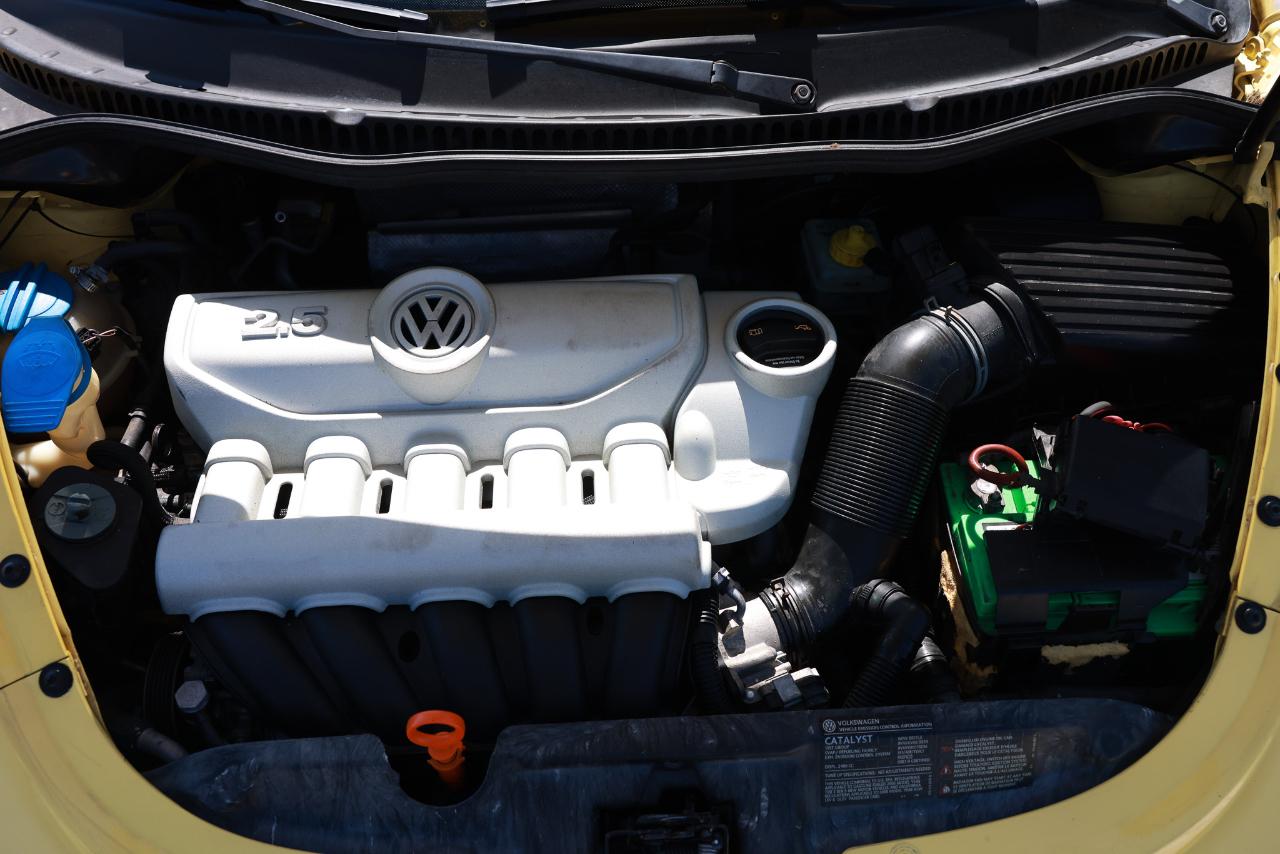 Volkswagen New Beetle Coupe  2008