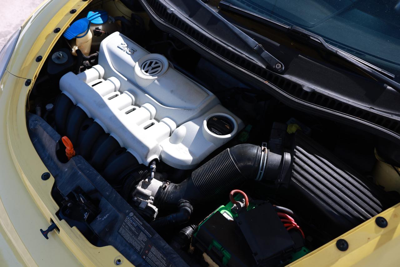Volkswagen New Beetle Coupe  2008