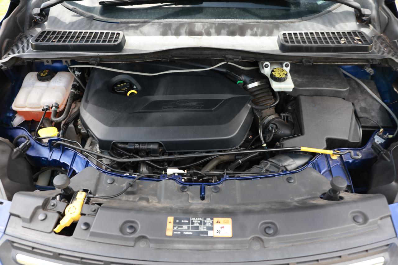 Ford Escape  2014