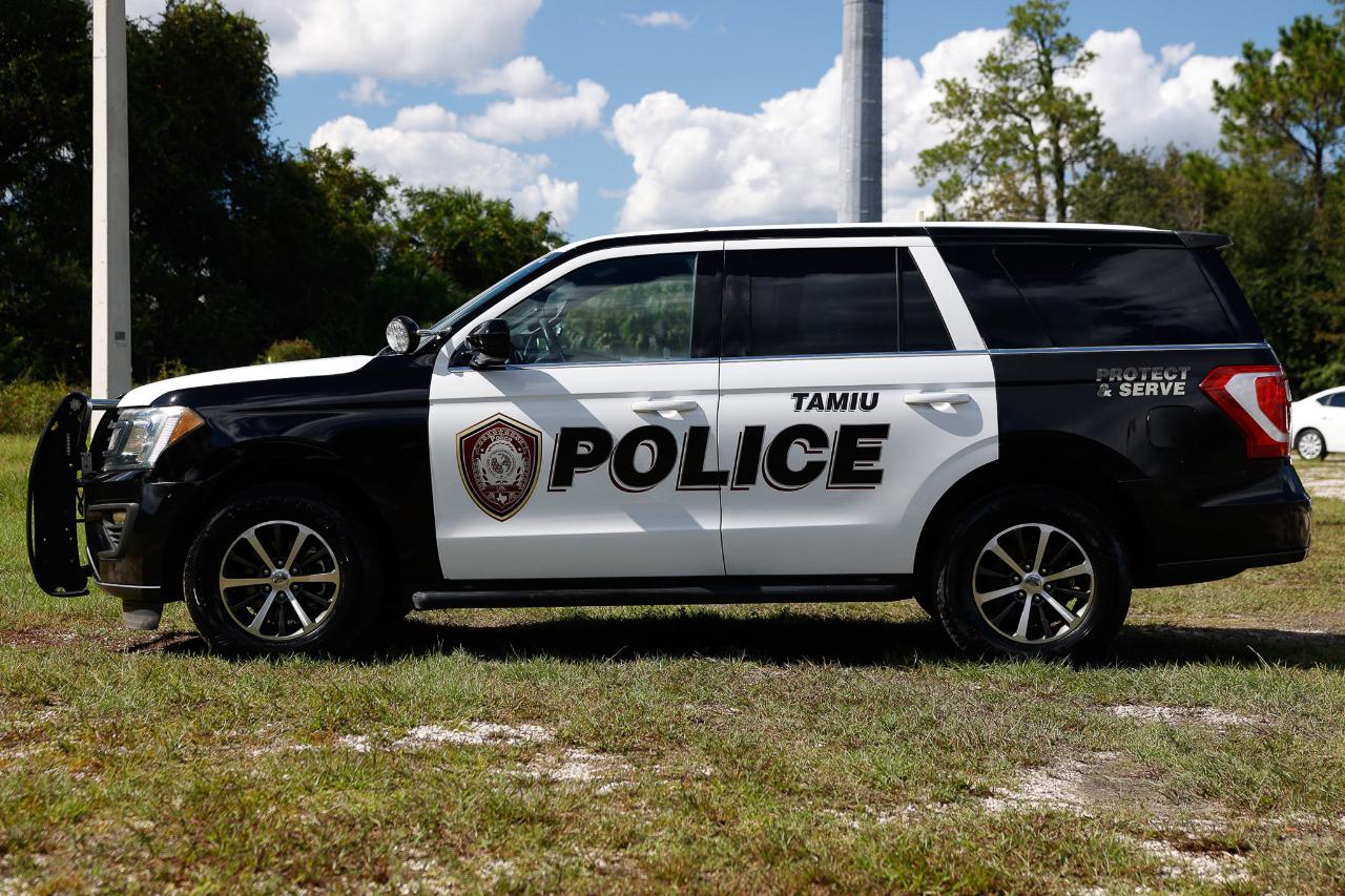 Ford Expedition  2018