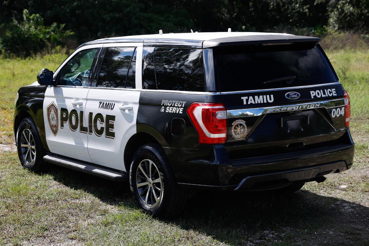 Ford Expedition  2018