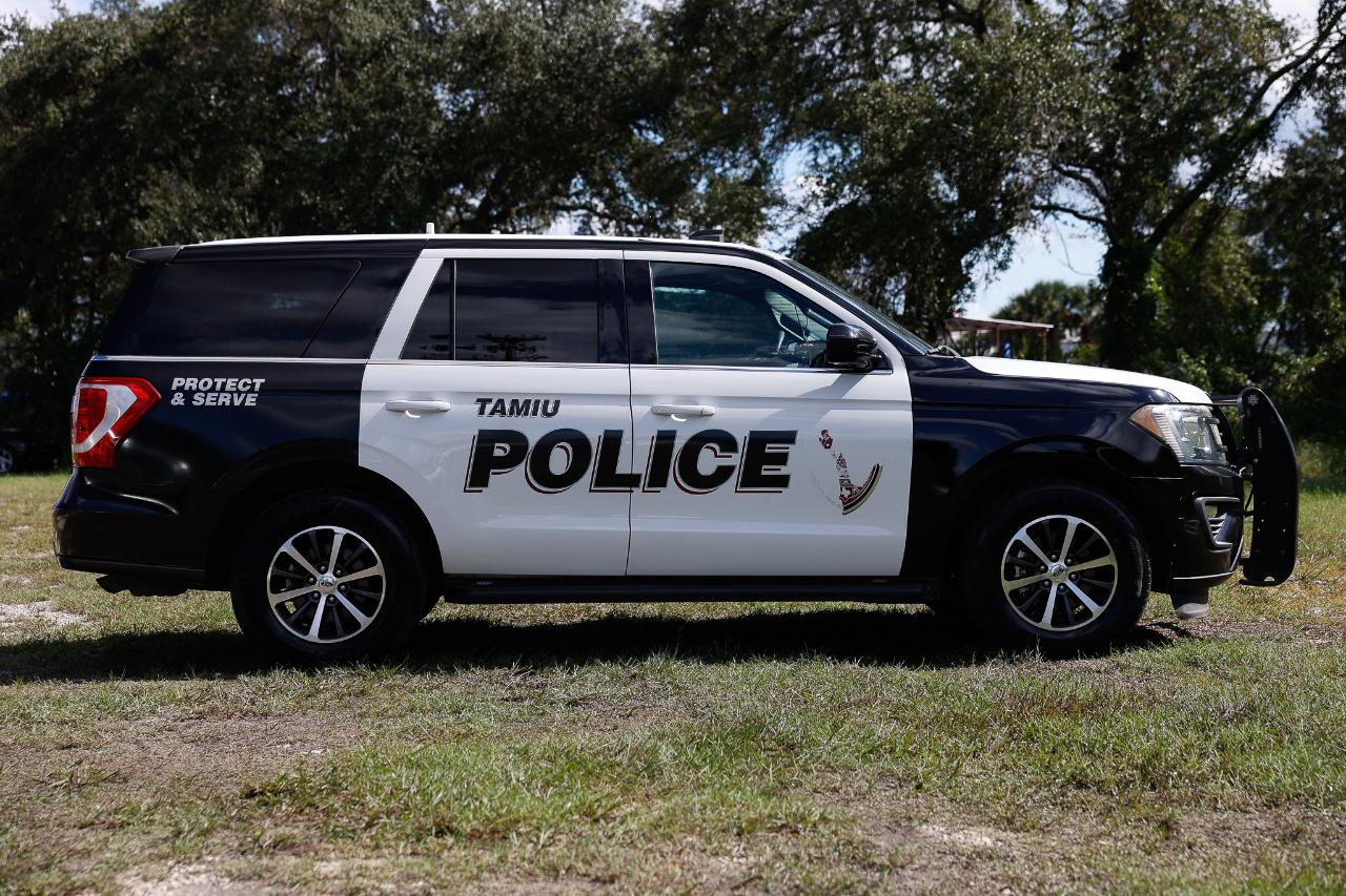 Ford Expedition  2018