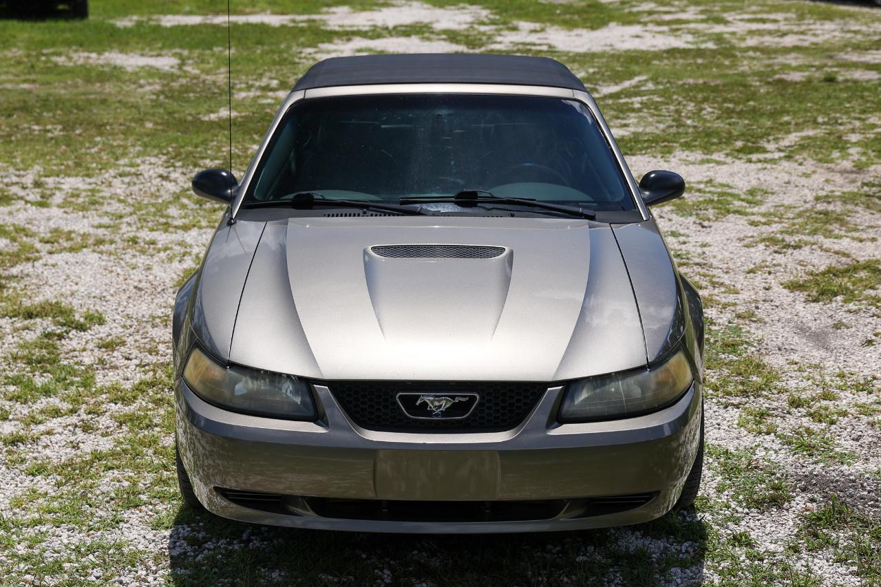 Ford Mustang  2002