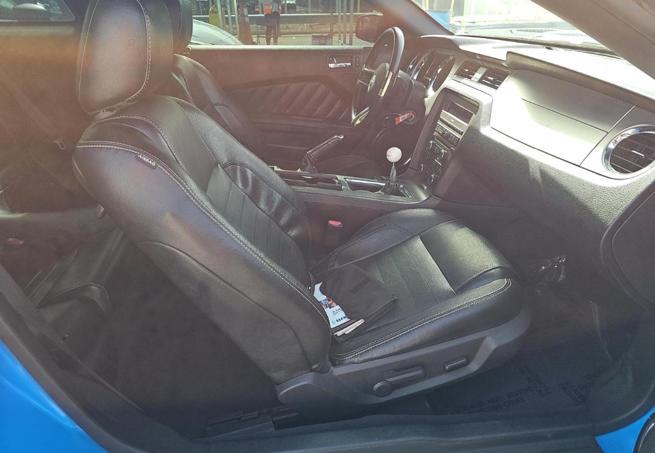 Ford Mustang  2010