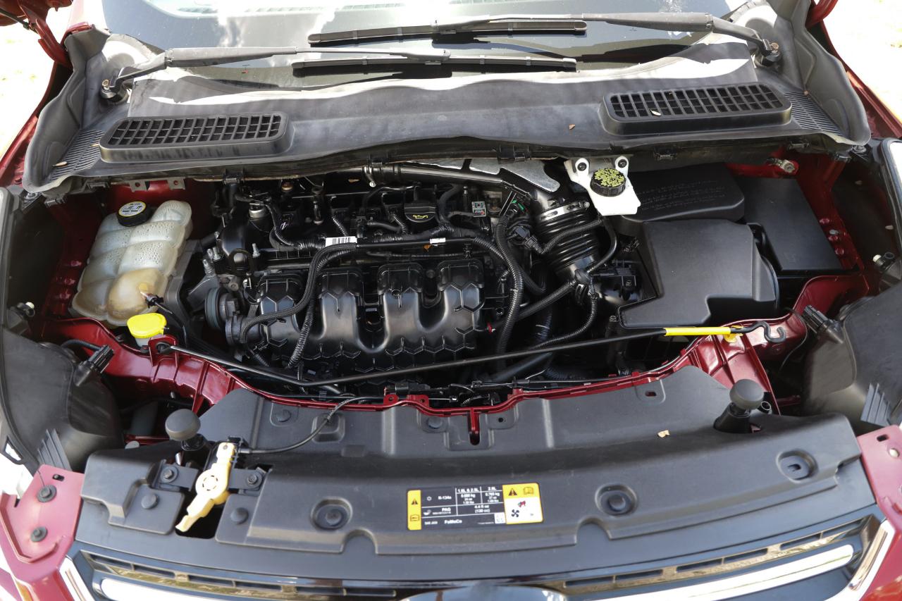 Ford Escape  2013