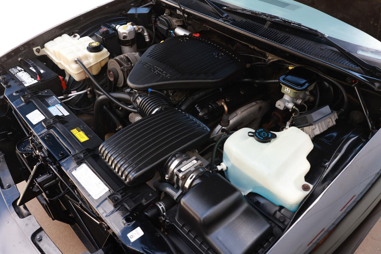 Chevrolet Caprice Classic/Impala SS/Caprice Police/Taxi Pkgs  1996