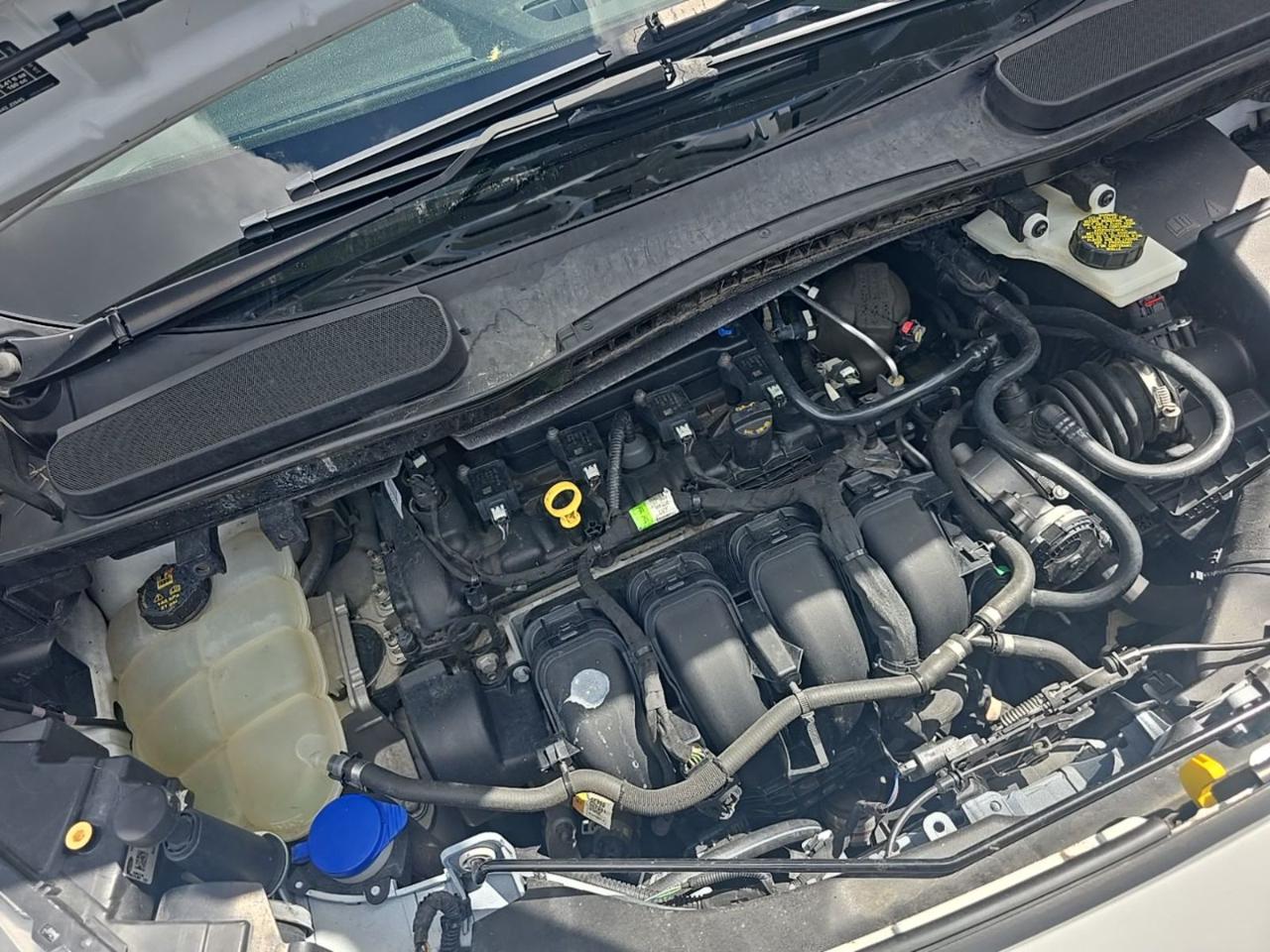 Ford Transit Connect Van  2019