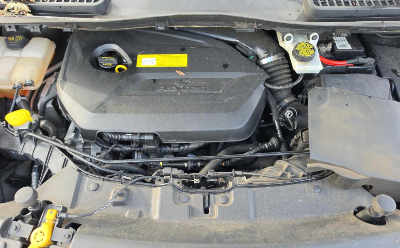 Ford Escape  2015