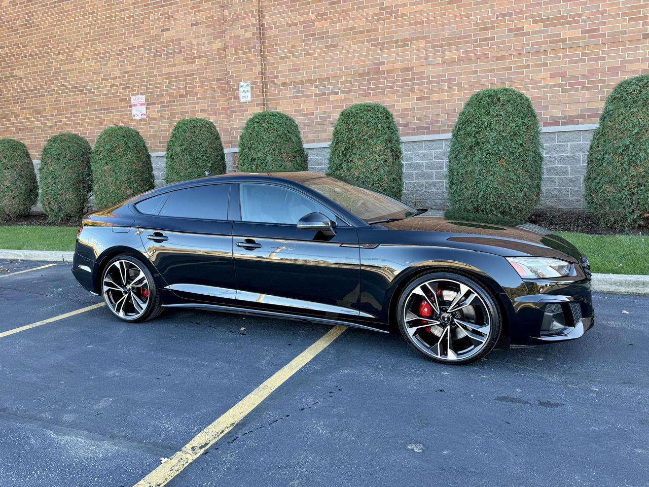 Audi S5 Premium Plus Hatchback quattro 2023