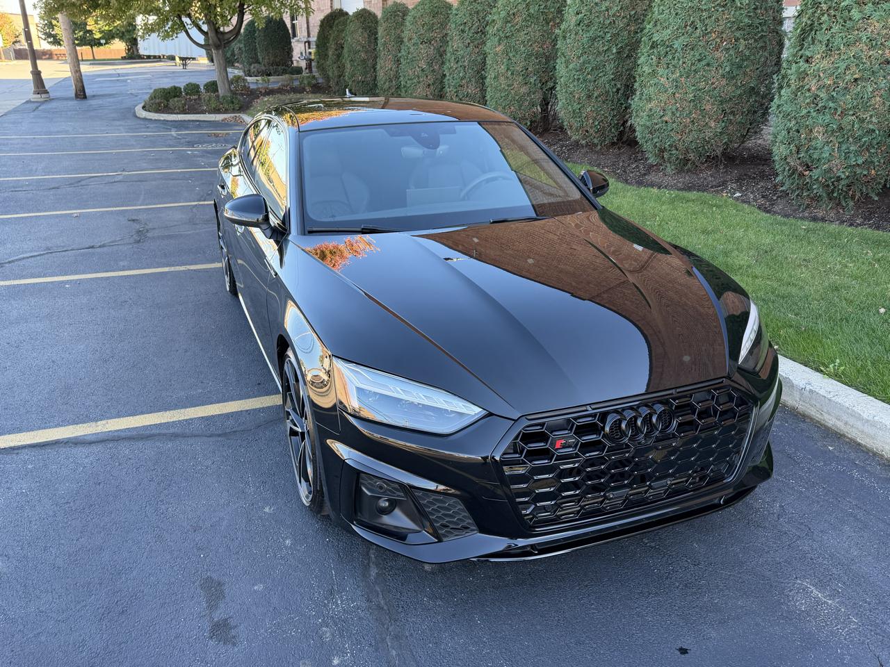 Audi S5 Premium Plus Hatchback quattro 2023