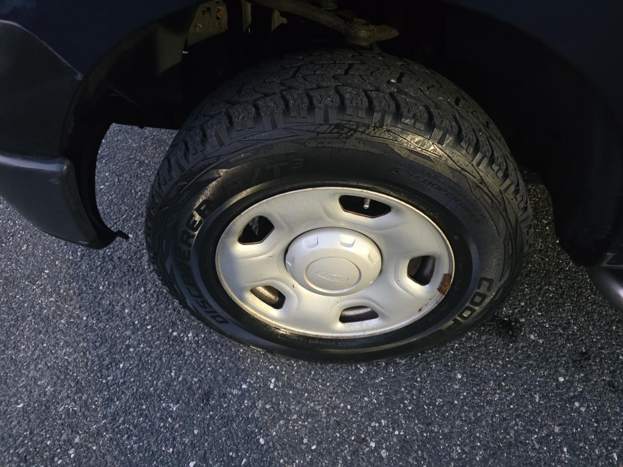 Ford F-150 2WD Reg Cab 145" XLT w/HD Payload Pkg 2008