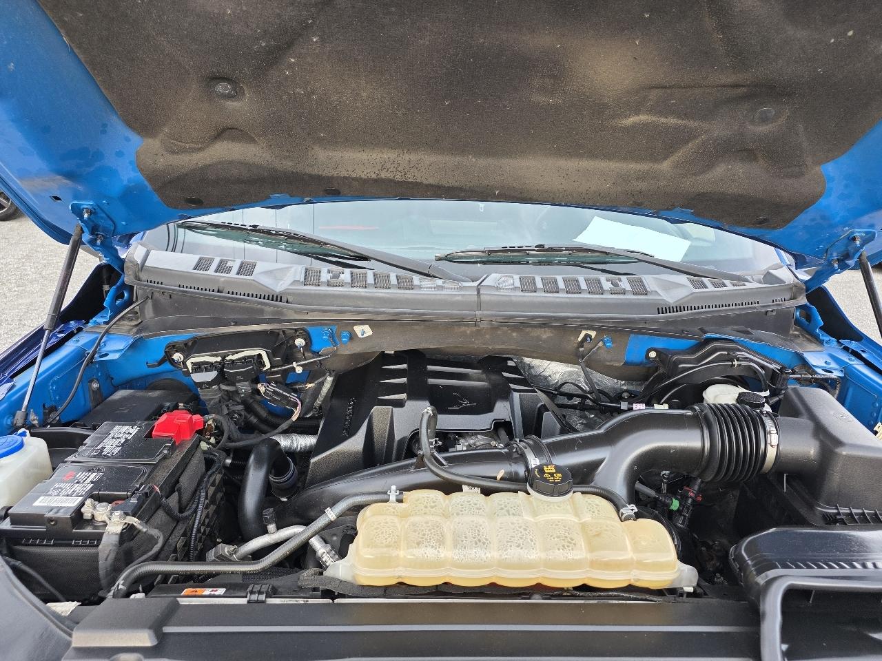 Ford F-150 XLT SuperCrew 5.5-ft. Bed 4WD 2017