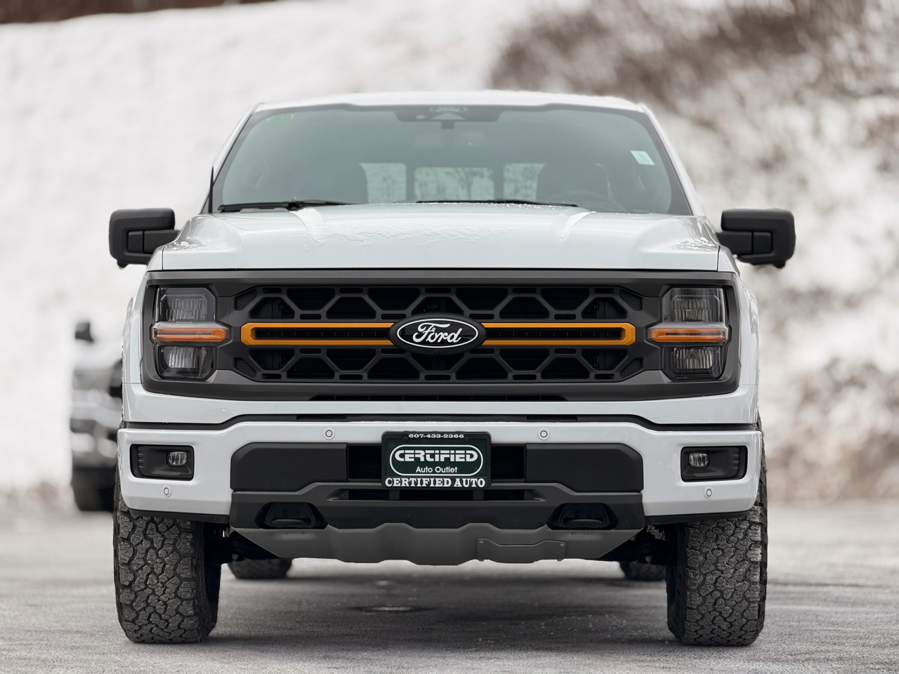 2025 Ford F-150 Tremor's photo