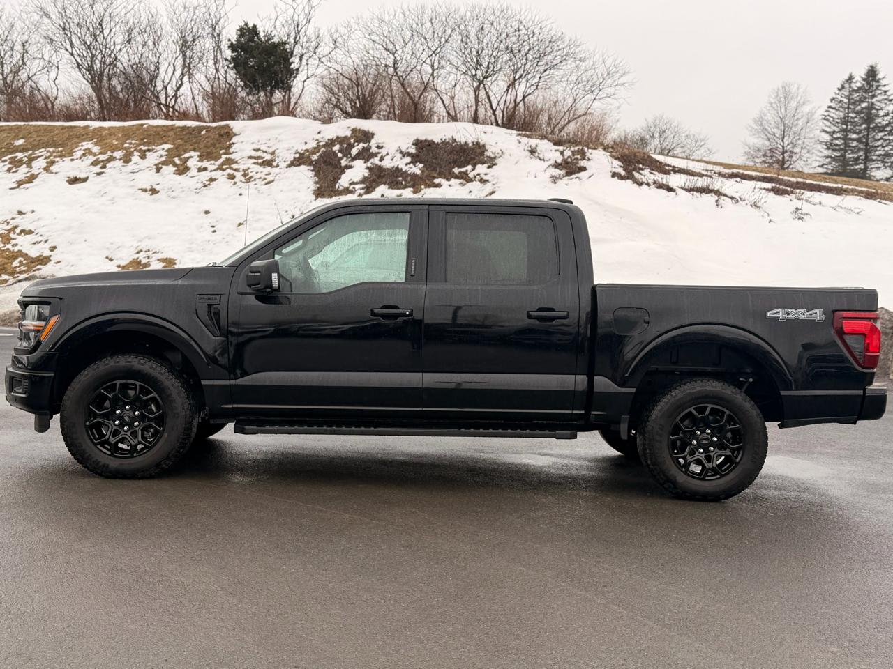 Ford F-150 XLT SuperCrew 4WD 2024