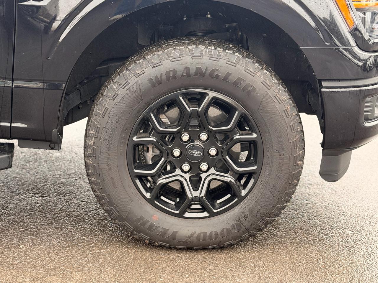 Ford F-150 XLT SuperCrew 4WD 2024