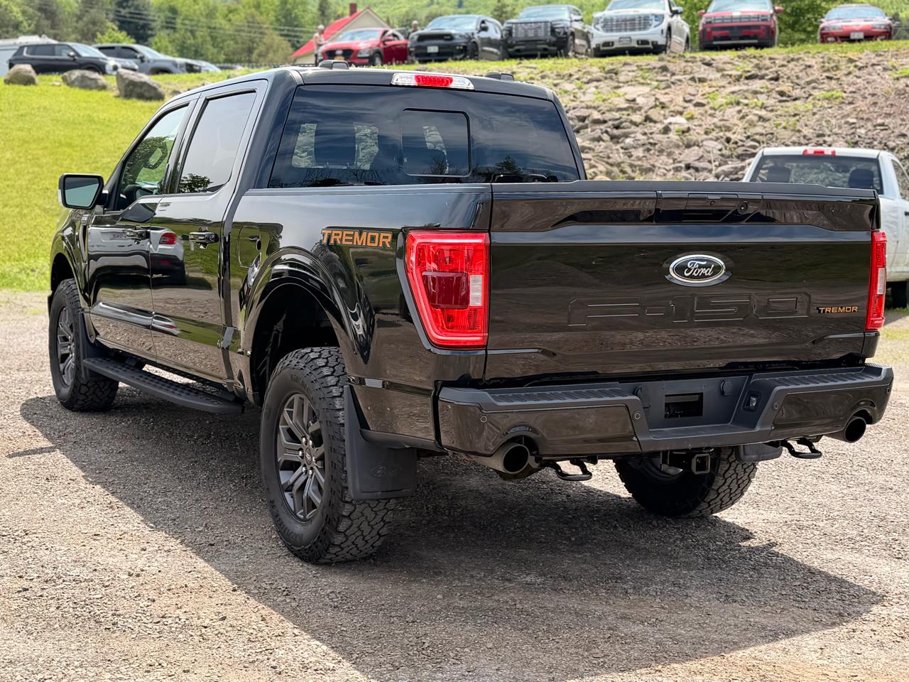 Ford F-150 Tremor SuperCrew 4WD 2023