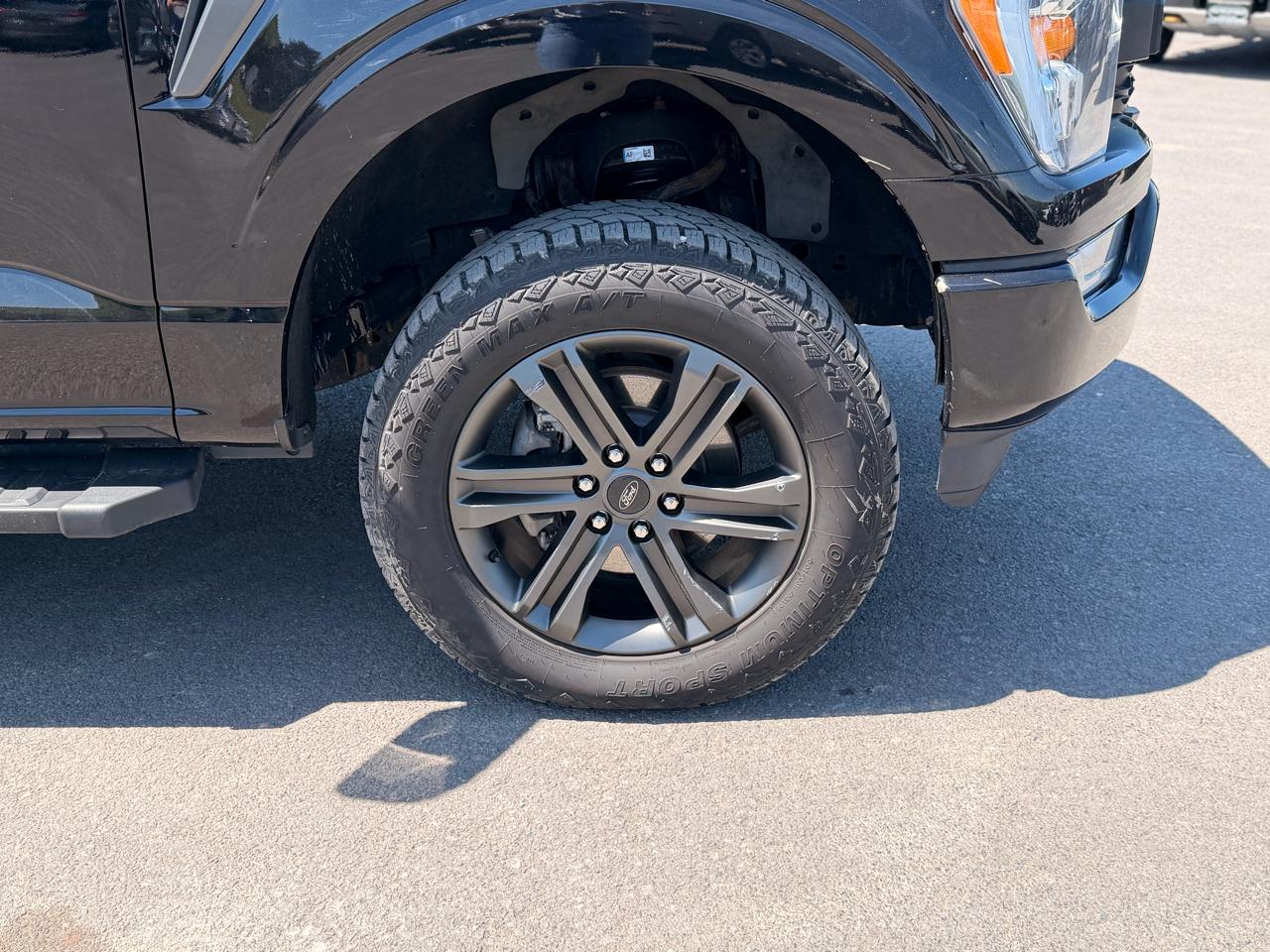 Ford F-150 XL SuperCrew 6.5-ft. Bed 4WD 2021