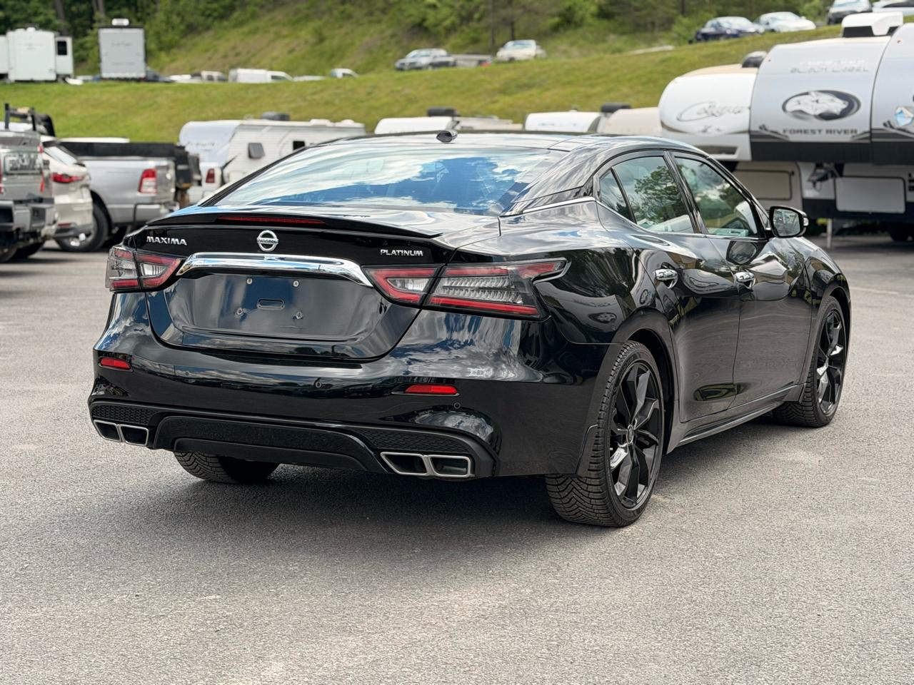 Nissan Maxima  2019