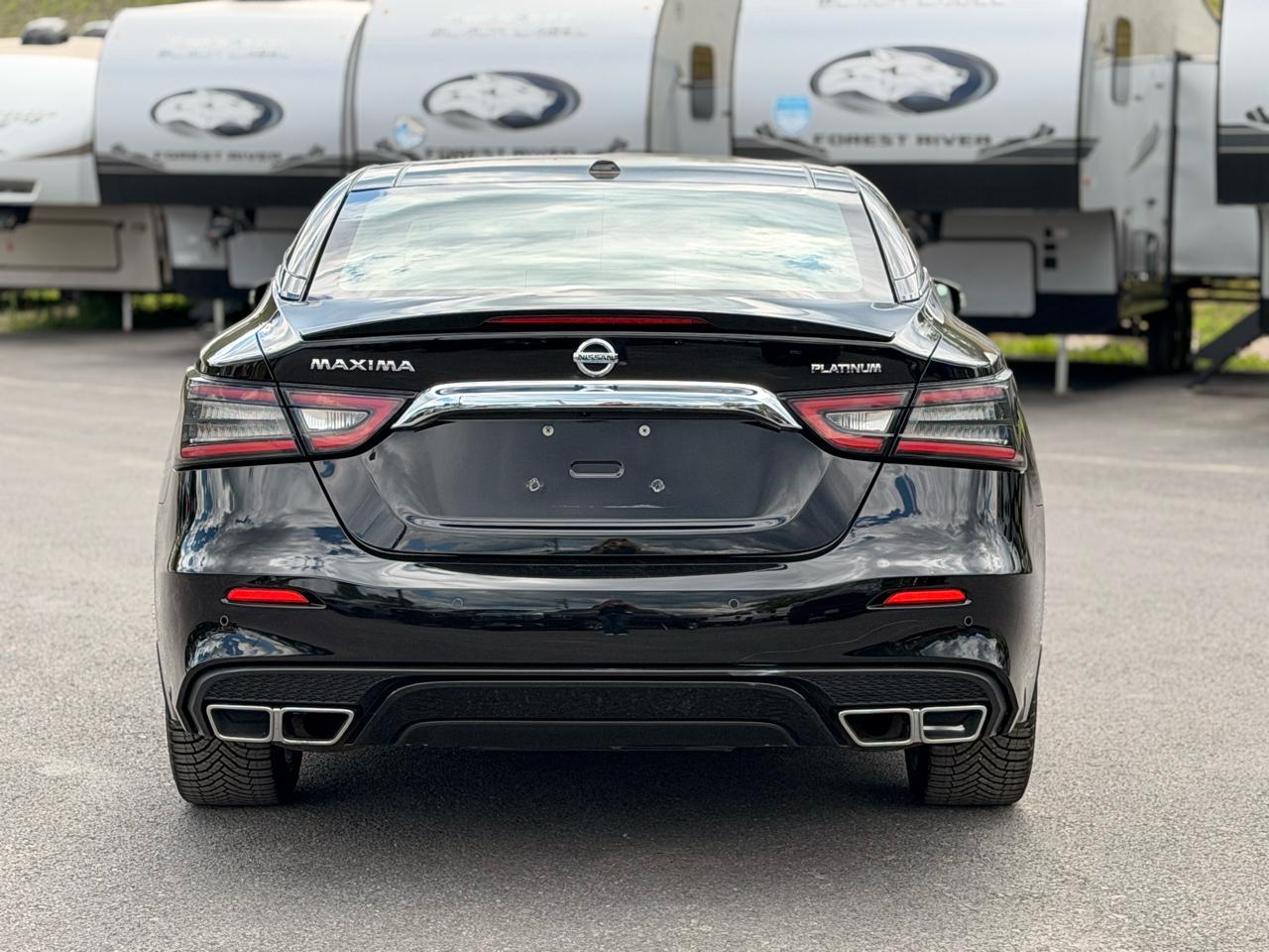 Nissan Maxima  2019