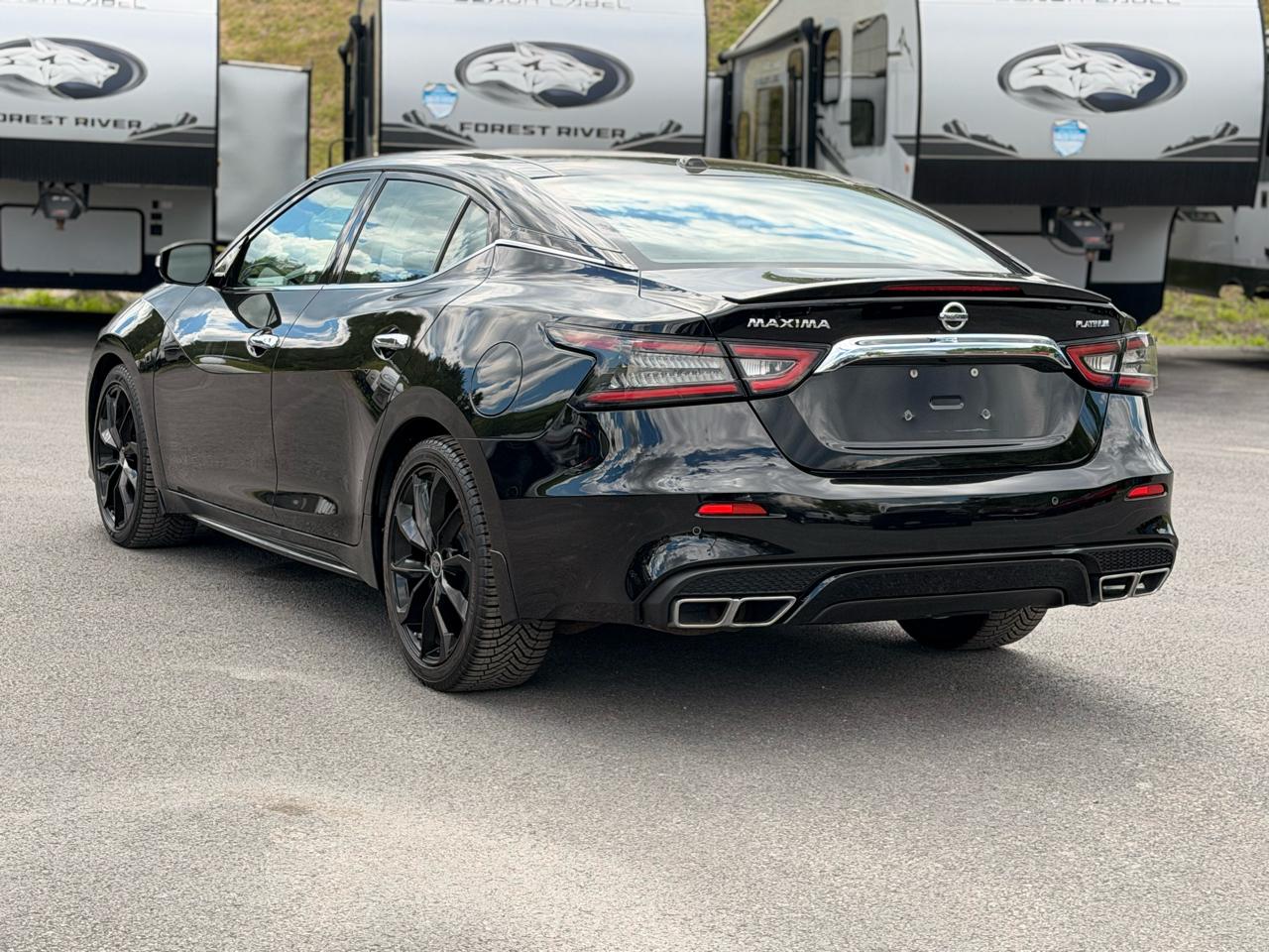 Nissan Maxima  2019