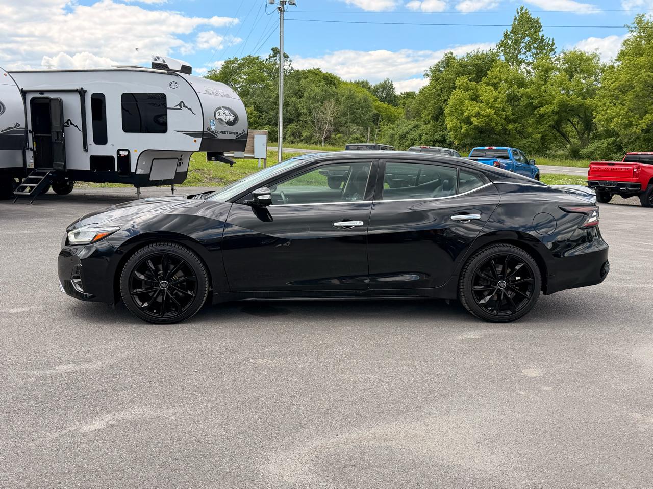 Nissan Maxima  2019