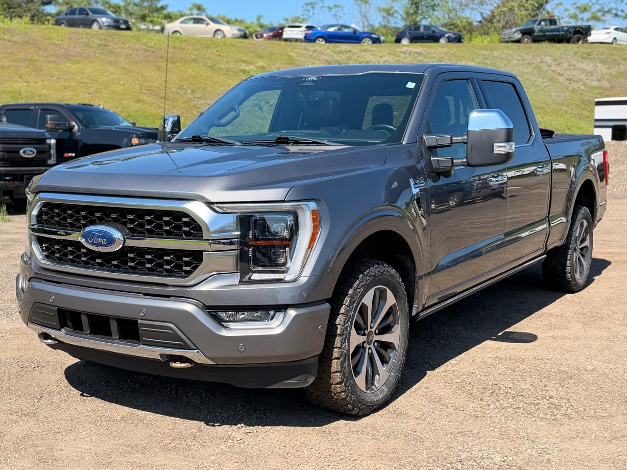 2022 Ford F-150 Platinum SuperCrew 4WD