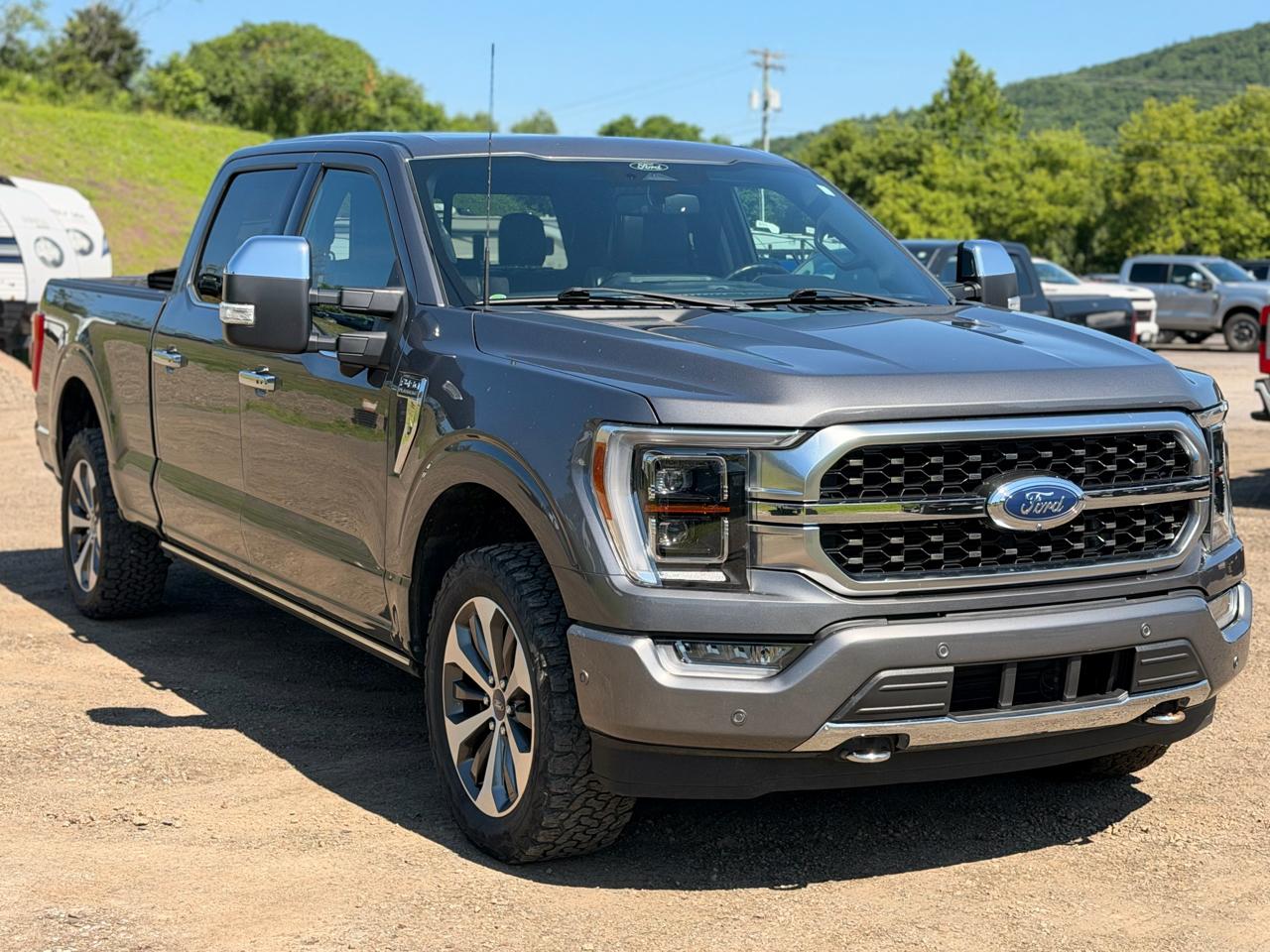 Ford F-150 Platinum SuperCrew 4WD 2022